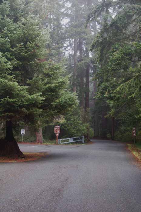 South Whidbey Island State Park entrance
